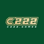 C222 Game
