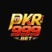 PKR888 Game